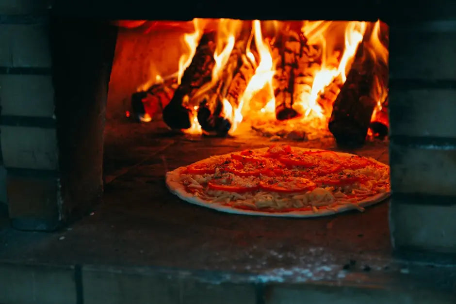 Quels sont les meilleurs types de fours à pizza pour une utilisation commerciale ?