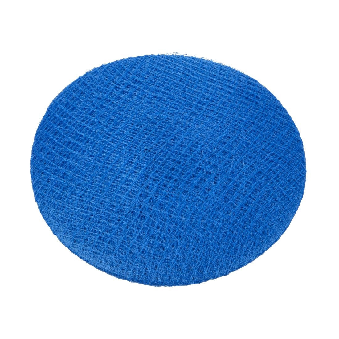 Filets à cheveux Lion Haircare bleus (lot de 50) — A291