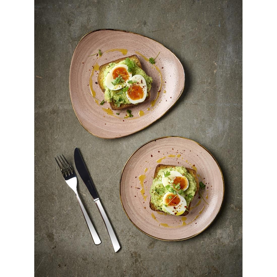 Assiettes avec rebord Churchill Stonecast Raw Terracotta Evolve 286mm (Lot de 12) — CU651