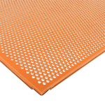 Plaque de cuisson perforée antiadhésive Schneider GN 1/1 53 x 32,5 cm — CW321