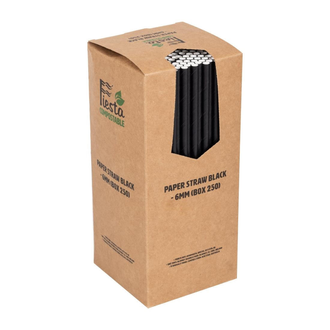 Pailles en papier Fiesta Compostable noires (lot de 250) — DE926
