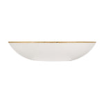 Assiettes coupes rondes Churchill Stonecast Duck Egg Blue 182mm (Lot de 12) — DK505