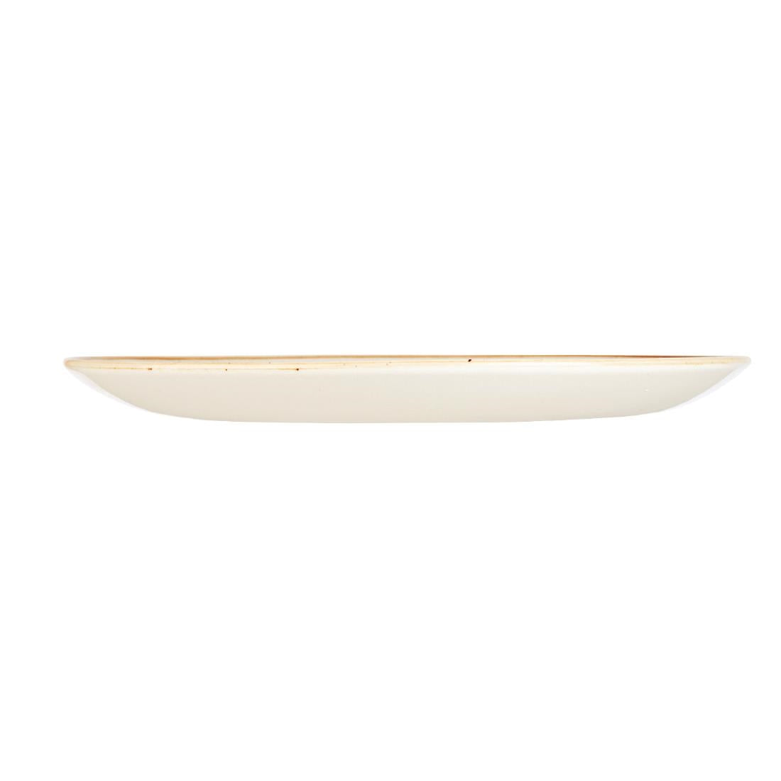 Assiettes rondes Churchill Stonecast Spiced Orange 217mm (Lot de 12) — DK537