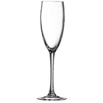 Flûtes à champagne Chef & Sommelier Cabernet Tulip 160ml (lot de 24) — DL107
