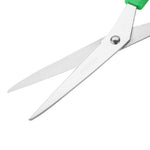 Ciseaux Hygiplas verts — DM039