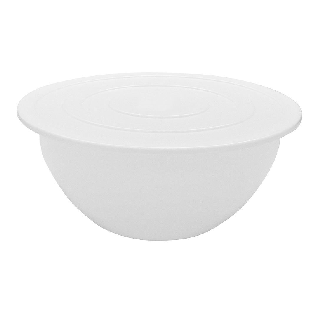 Bassine en polypropylène Schneider 9L — DR544