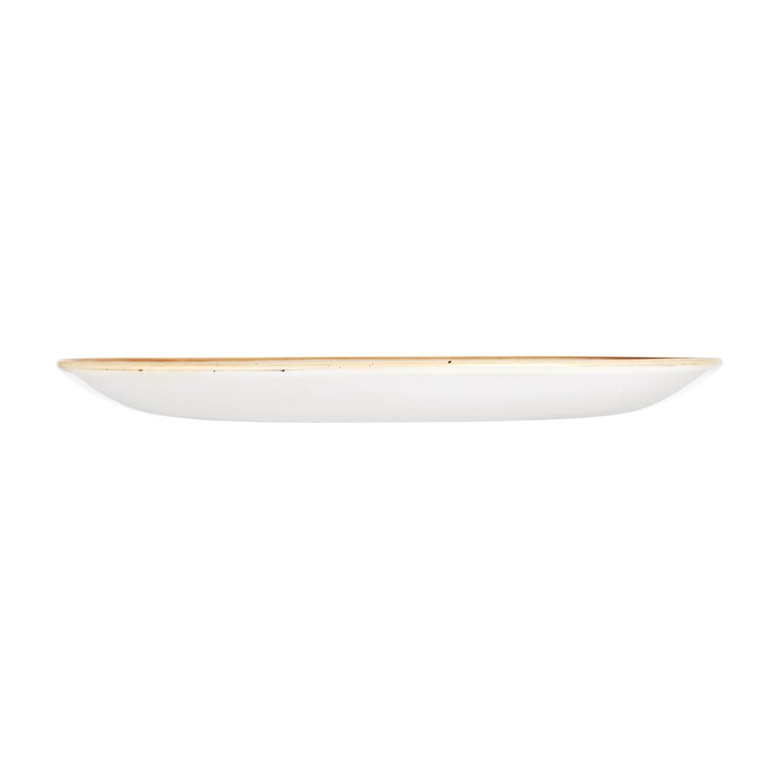Assiettes avec rebord Churchill Stonecast Patina Black 288mm (Lot de 12) — DR650