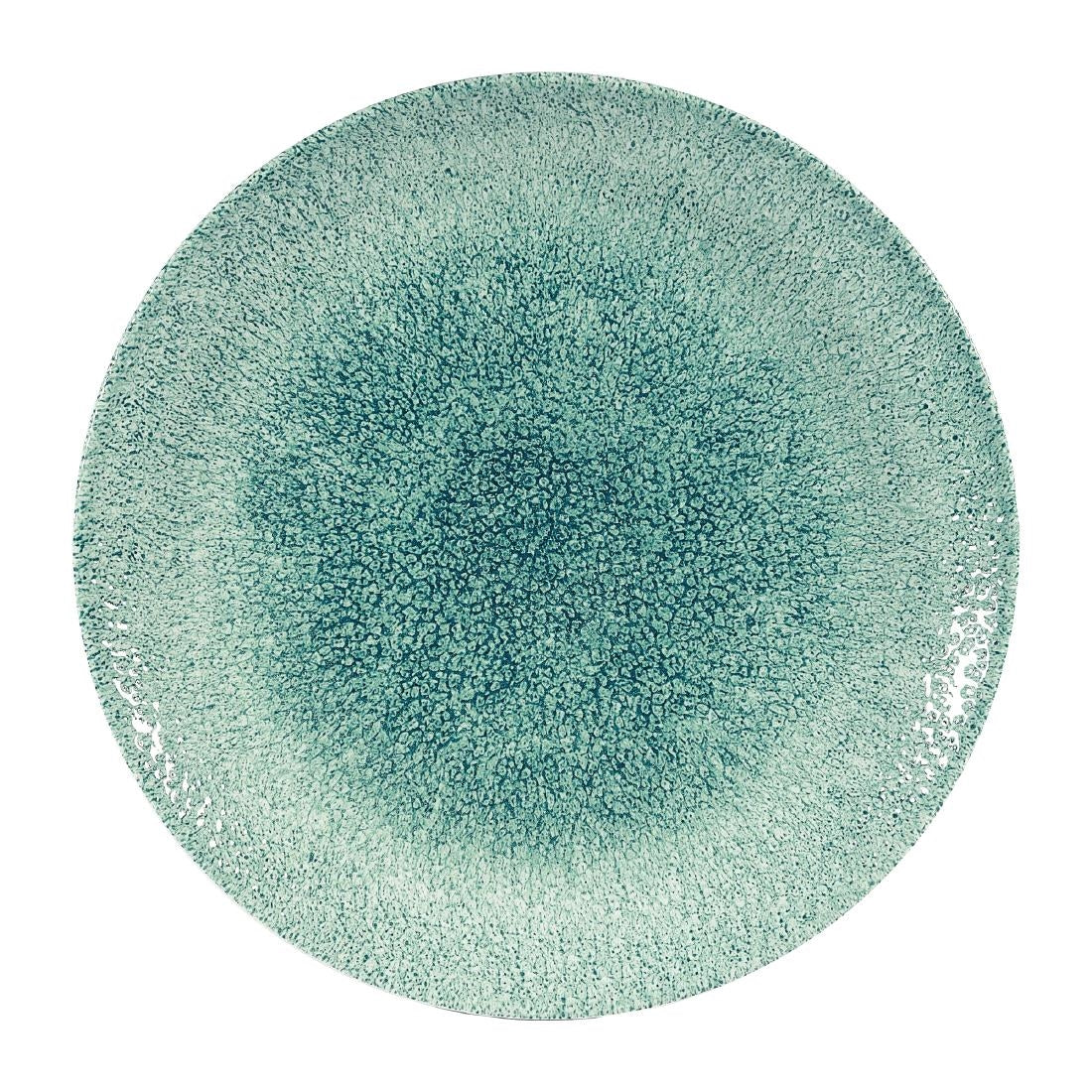 Assiettes rondes Churchill Studio Prints Raku Jade Green 260mm (Lot de 12) — DW400