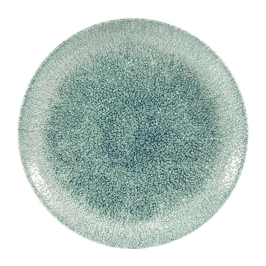 Assiettes coupes rondes Churchill Studio Prints Raku Jade Green 248mm (Lot de 12) — DW403