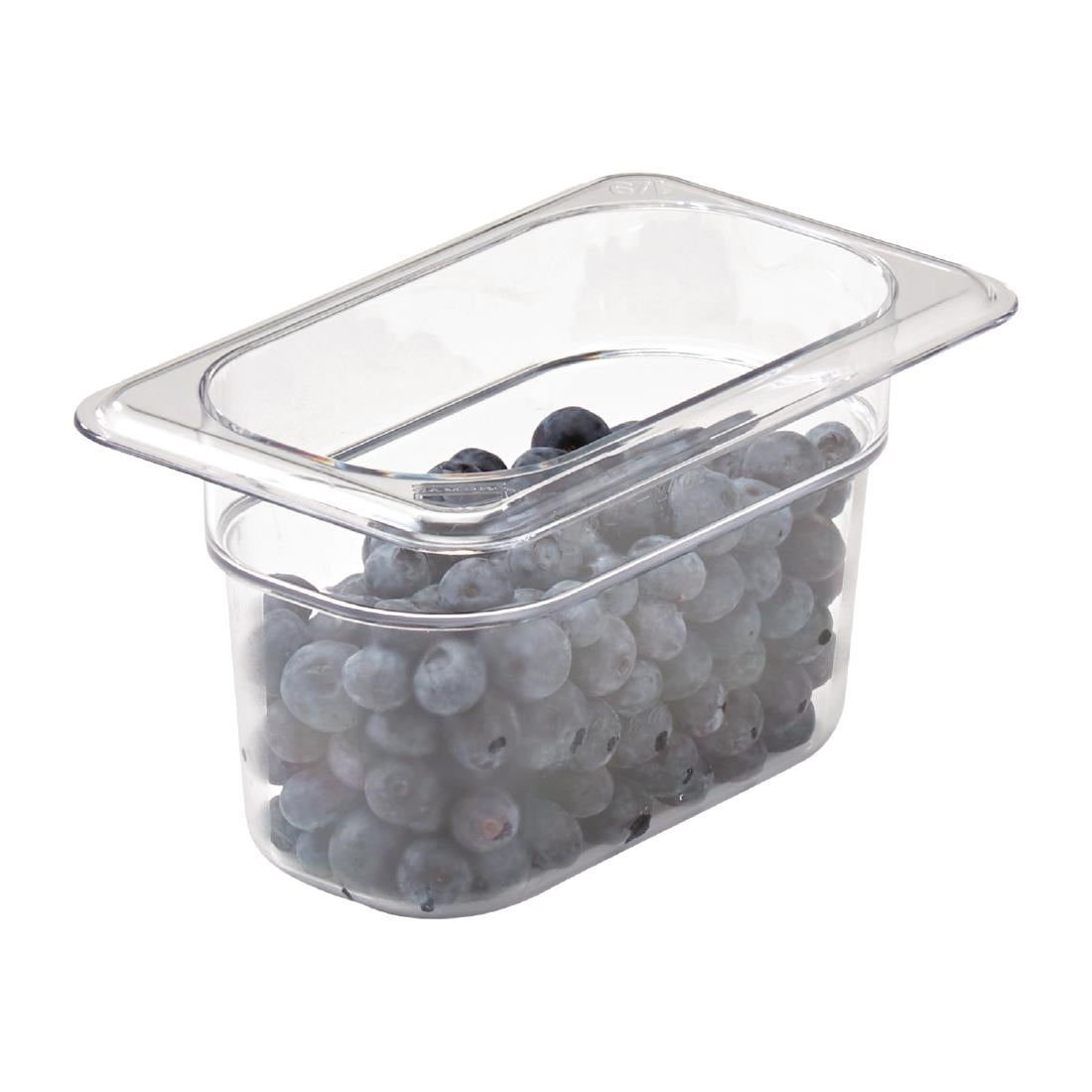 Bac Camview Cambro GN 1/9 100mm — DW549