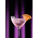 Verres à martini Utopia Loire 240 ml (lot de 6) — DX930