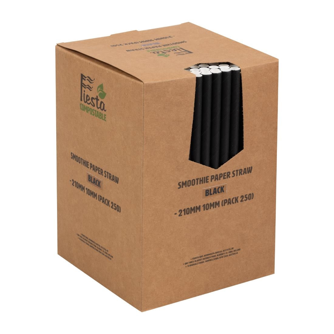 Pailles à smoothie en papier Fiesta Compostable noires 210mm (lot de 250) — FB145
