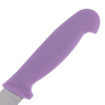 Couteau d'office Hygiplas violet 9cm — FP732