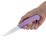 Couteau d'office Hygiplas violet 9cm — FP732