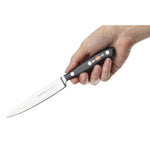 Ensemble cadeau 2 couteaux Dick Premier Plus — GH330