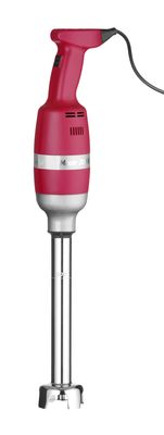 Mixeur plongeur Profi Line 300 - avec vitesse réglable, HENDI, Profi Line, 230V/300W, ⌀100x(H)675mm — 224335