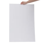 Papier pour Fish & Chip Fiesta Compostable blanc 500x750mm (lot de 200) — HY779