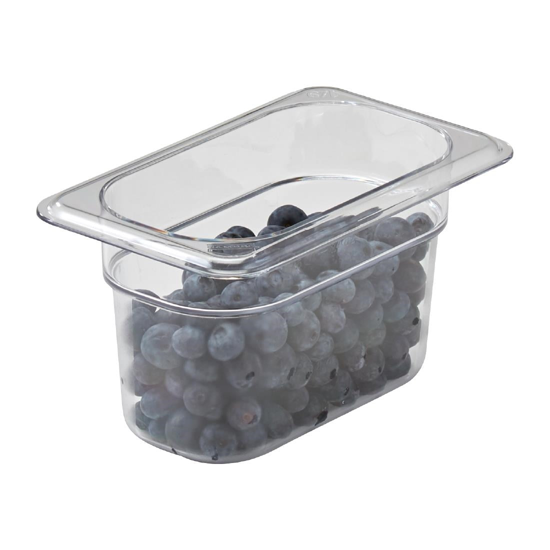 Bac sans BPA Camview Cambro GN 1/9 100mm — JP388