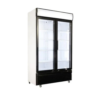 Réfrigérateur professionnel 2 portes en verre ventilé 750 l